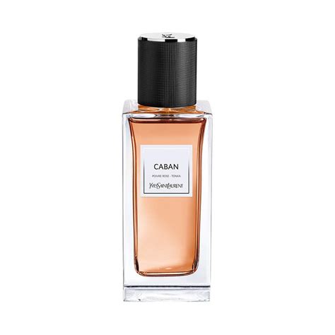 ysl kaban